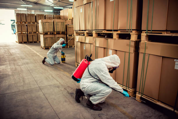 Best Rat Extermination Near Me  in South Rockwood, MI