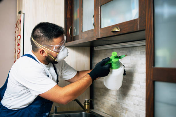 Best Termite Control Services  in South Rockwood, MI