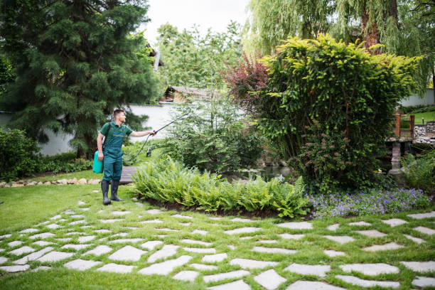 Best Pest Prevention Services  in South Rockwood, MI