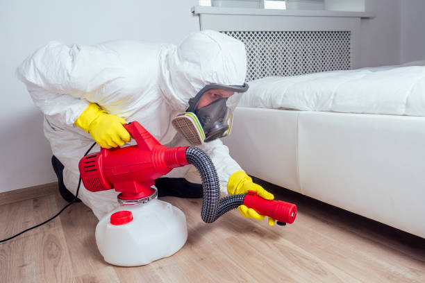 Best Pest Control Near Me  in South Rockwood, MI