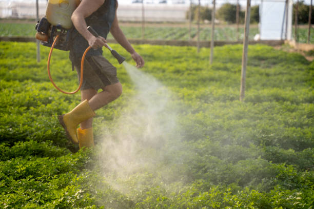 Best Pest Removal Services  in South Rockwood, MI