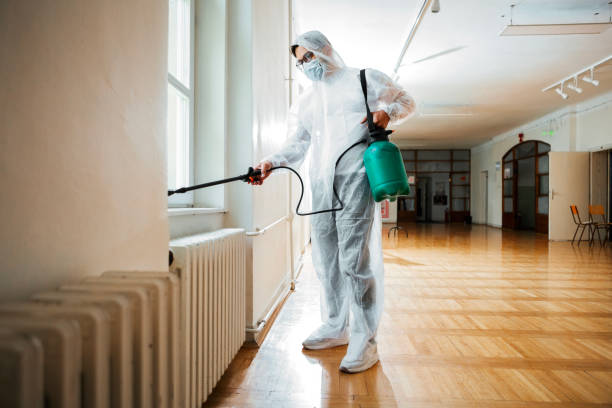 Best Insect Control  in South Rockwood, MI